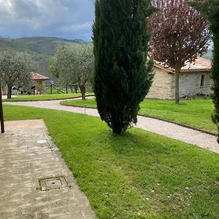 Caiferri Con 구비오