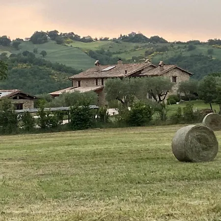 Caiferri Con 아파트 *