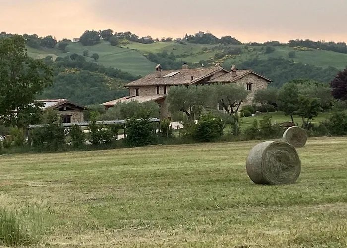 Caiferri Con Apartamento *